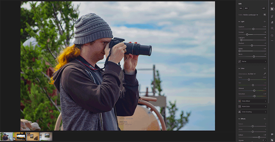 screenshot of the adobe lightroom settings panel with an image being edited